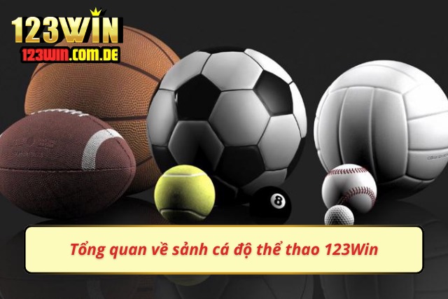 Thông tin cơ bản về sảnh cược hấp dẫn của 123Win