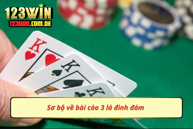 Thông tin cơ bản cần biết về bài cào ba lá