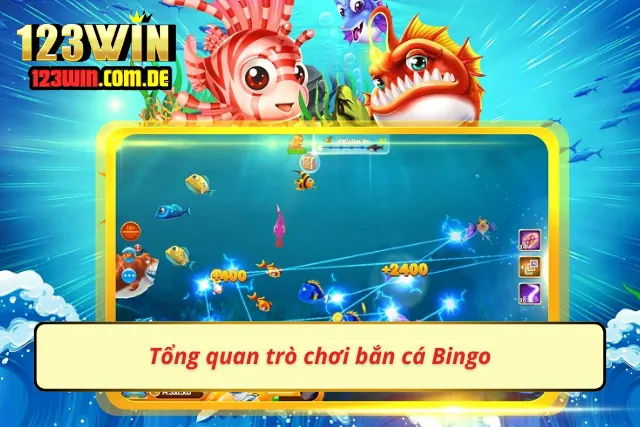 Thông tin chi tiết về trò săn cá Bingo
