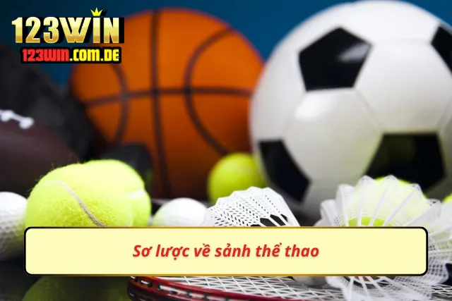 Những điều cơ bản về sảnh thể thao